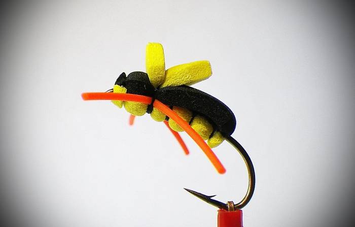 Black& Yellow Polifoam Beetle