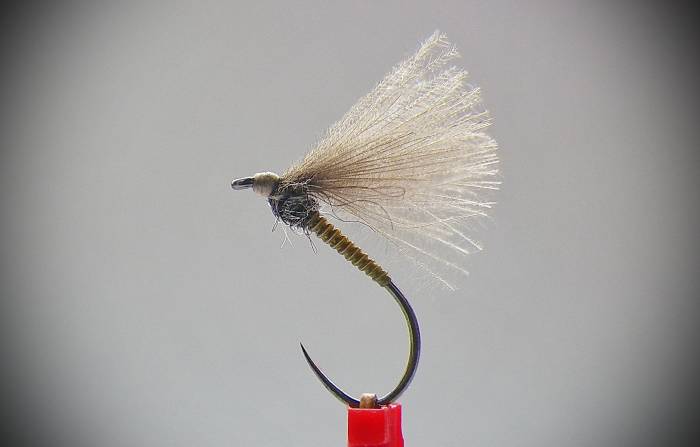 Olive Cock Quill F Fly