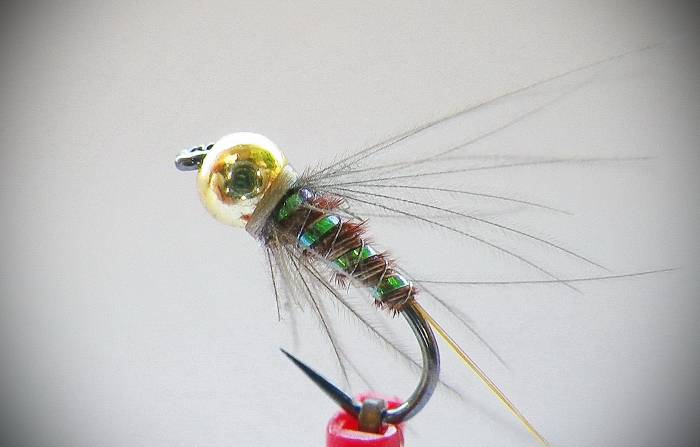 PEACOCK RIBBED PT NYMPH