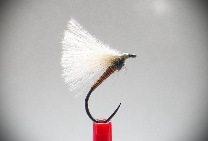 Brown Cock Quill F Fly - 1