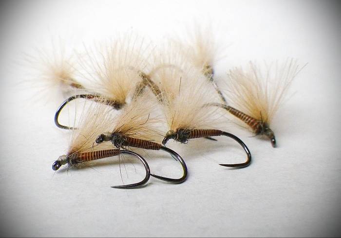 Brown Cock Quill F Fly - 2