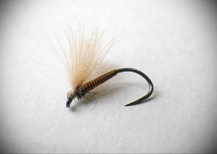 Brown Cock Quill F Fly - 3