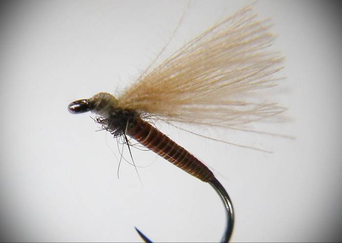 Brown Cock Quill F Fly - 5