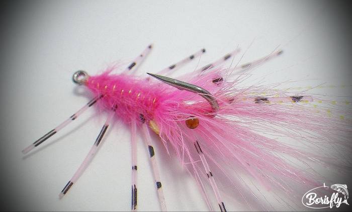 Pink Bonefish Shrimp - 1