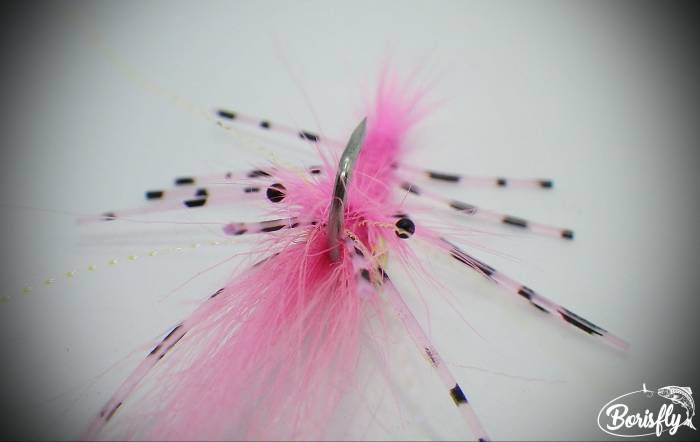 Pink Bonefish Shrimp - 2