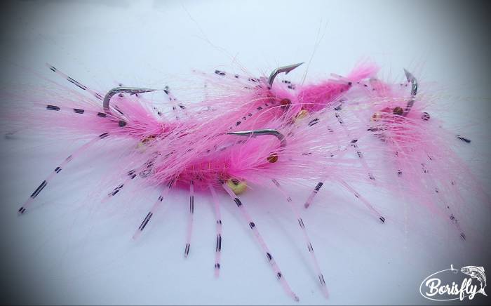 Pink Bonefish Shrimp - 3