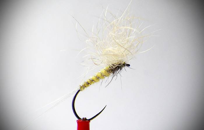 Snowshoe Pale Yellow Spinner