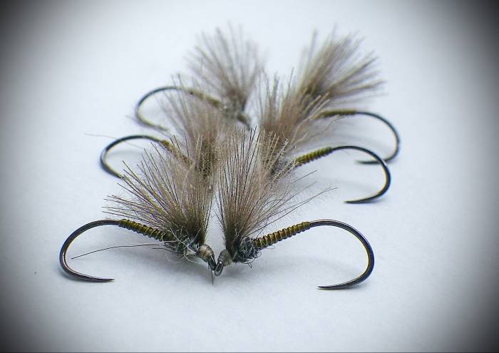 Olive Cock Quill F Fly - 3